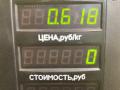 козырек солнцезащитный Mazda Demio 1 поколение [рестайлинг] 2001, 1.3 л., бензин, МКПП, зелёный, хетчбэк 5 дв., передний привод - фото №4