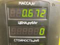форсунка Opel Omega B 1998, 2.0 л., бензин, 5МКПП, красный, универсал, задний привод, 10R024470 - фото №8