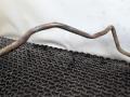 трубка гидроусилителя Volkswagen Jetta 4 поколение 2001, 2.0 л., AQY, бензин, МКПП, синий, седан, передний привод - фото №4