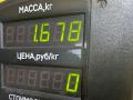кулиса Citroen Xsara 1 поколение 1998, 1.6 л., бензин, 5МКПП, зелёный, хетчбэк 3 дв., передний привод - фото №15