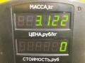 суппорт задний левый Opel Omega B 1998, 2.0 л., бензин, 5МКПП, красный, универсал, задний привод - фото №4