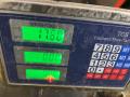 дверь задняя правая Renault Scenic 1 поколение 1998, 1.9 л., F9Q 734, дизель, синий, минивэн, передний привод - фото №19
