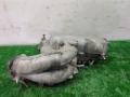 коллектор впускной Nissan Murano Z50 2005, 3.5 л., бензин, АКПП, черный, внедорожник 5 дв., полный привод - фото №6