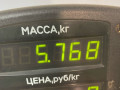 диск тормозной передний BMW 5 серия E34 (1987 - 1996) - фото №4