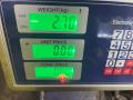 стекло двери задней левой Ford Mondeo 2 поколение 1999, 1.8 л., RFN, дизель, МКПП, белый, универсал, передний привод, DOT32M13AS2 - фото №4