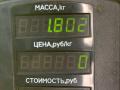 петля капота Renault Safrane 1 поколение 1994, 2.2 л., J7T 760, бензин, 5МКПП, черный, хетчбэк 5 дв., передний привод - фото №3