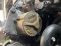 насос вакуумный Fiat Ducato 2 поколение 1999, 2.8 л., 8140.43, дизель, МКПП, белый, фургон, передний привод - фото №3