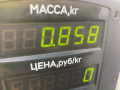 бачок расширительный Iran Khodro Samand 1 поколение 2009, 1.8 л., бензин, МКПП, серебристый, седан, передний привод - фото №4