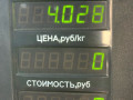 суппорт передний левый Toyota Carina T170 1992, 1.6 л., 4A-FE, бензин, МКПП, красный, седан, передний привод - фото №5