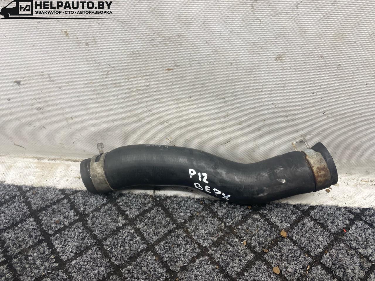 патрубок радиатора Nissan Primera P12 2002, 2.2 л., дизель, универсал, передний привод - фото №1