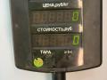 фонарь салона (плафон) Hyundai Sonata 4 поколение [рестайлинг] 2003, 2.4 л., бензин, МКПП, серебристый, седан, передний привод - фото №3