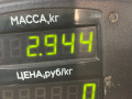 пружина задняя Opel Omega B 1997 - фото №3