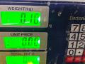 кнопка освещения панели приборов Nissan Primera P11 1998, 2.0 л., SR20DE, бензин, 5МКПП, серебристый, седан, передний привод - фото №11
