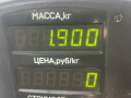 подушка рамы Kia Sorento 1 поколение 2005, 2.4 л., G4JS, бензин, МКПП, красный, внедорожник 5 дв., полный подключаемый привод - фото №3