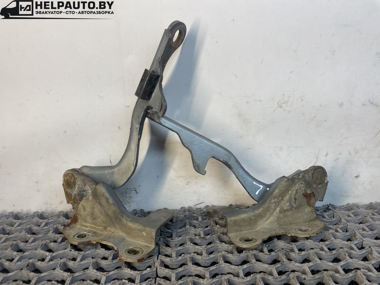 петля капота Daewoo Evanda 1 поколение V200 2003, 2.0 л., i, X 20 SED, бензин, МКПП, берюзовый, седан, передний привод - фото №1