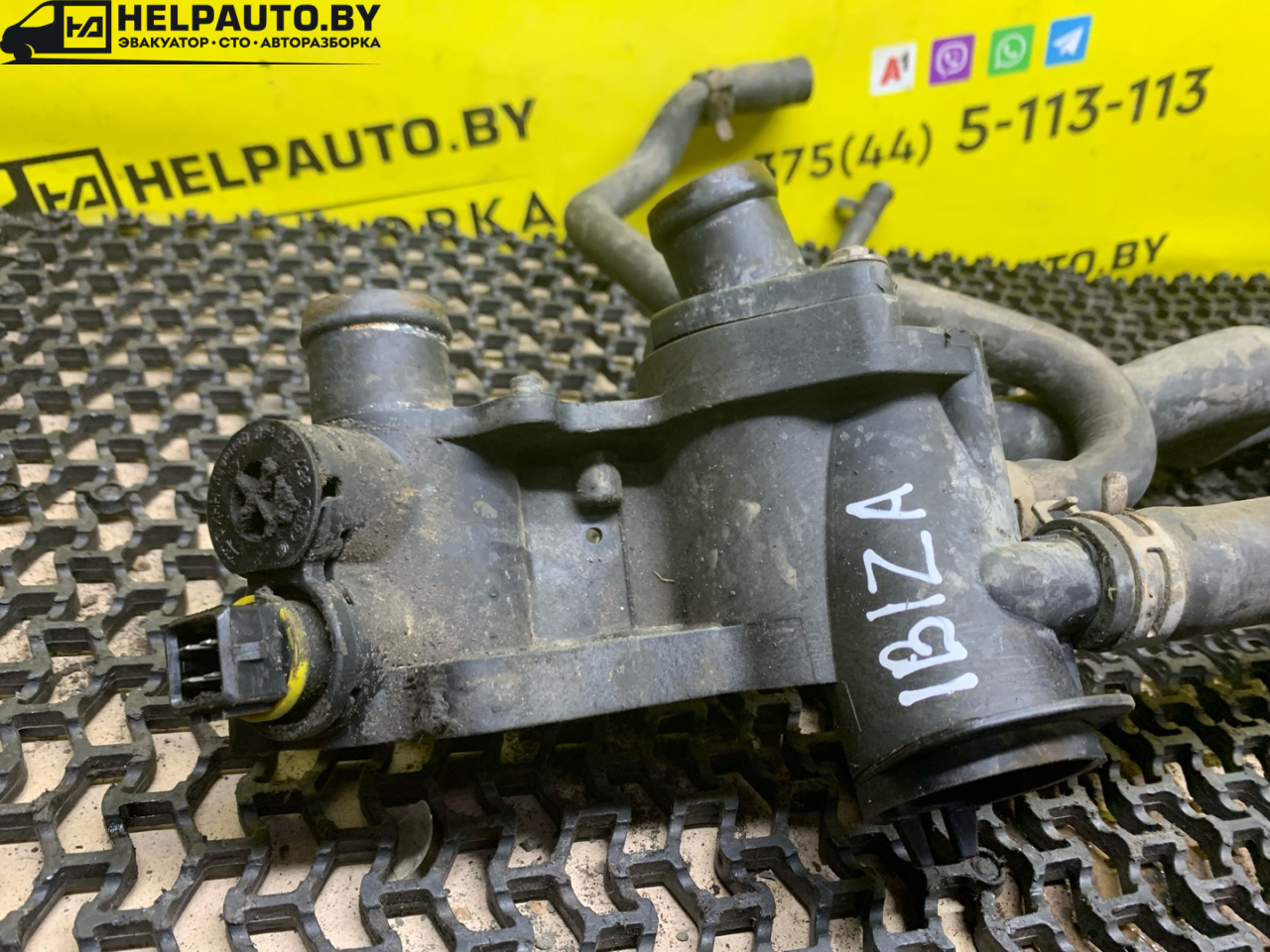 корпус термостата SEAT Ibiza 2 поколение 1998, 1.6 л., ALM, бензин, 5МКПП, синий, хетчбэк 5 дв., передний привод - фото №1