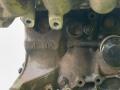 двигатель Mazda 323 5 поколение 1994, 1.8 л., BP (DOHC), бензин, МКПП, красный, хетчбэк 5 дв., передний привод, BP, 960322 - фото №5