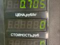 амортизатор крышки багажника (3-5 двери) Citroen Xsara 1 поколение [рестайлинг] 2001, 1.9 л., дизель, МКПП, универсал - фото №5