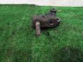 кронштейн двигателя Mazda 626 GF 1998, 2.0 л., дизель, МКПП, передний привод - фото №4
