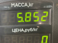 суппорт передний правый Mercedes-Benz C-Класс W203/S203/CL203 2000, 1.8 л., бензин, МКПП, белый, седан, задний привод - фото №2