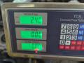пружина задняя Audi 80 B3 1990, 1.6 л., PP, бензин, МКПП, оранжевый, седан, передний привод - фото №9