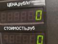 переключатель света Volkswagen Golf 3 поколение 1995, 1.9 л., AEY, дизель, МКПП, белый, универсал, передний привод, 1H6941531A, 04050501 - фото №4