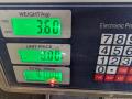 стекло двери задней правой Kia Joice 1 поколение 1999, 2.0 л., G4CP, бензин, МКПП, зелёный, минивэн, передний привод, 43R001234, DOT-398M352AS2 - фото №12