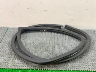 уплотнитель двери Nissan Primera P12 2002, 2.2 л., дизель