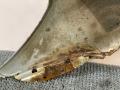 крыло переднее правое Citroen Xsara Picasso 1 поколение 2002, 2.0 л., бензин, МКПП, серый, передний привод - фото №6