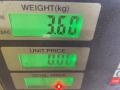 суппорт передний левый Volkswagen Jetta 4 поколение 2001, 2.0 л., AQY, бензин, МКПП, синий, седан, передний привод - фото №10