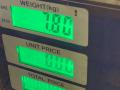 стекло заднее Nissan Primera P11 1998, 2.0 л., SR20DE, бензин, 5МКПП, серебристый, седан, передний привод - фото №3