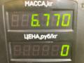 стабилизатор подвески передний Peugeot 306 1 поколение 1997, 1.9 л., D9B (XUD9A), дизель, МКПП, белый, универсал, передний привод - фото №5
