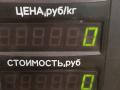 защита (кожух) ремня ГРМ Renault Scenic 1 поколение (1996 - 1999), 1.9 л., TD, F8Q 600, дизель, МКПП, передний привод, 7700102445 - фото №4