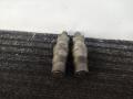 форсунка Volkswagen Passat B3 1989, 1.9 л., дизель, МКПП, белый, универсал, передний привод, KCA30S44 - фото №7