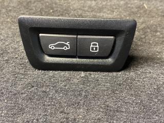 кнопка открытия багажника BMW X6 G06 [рестайлинг] 2024, 5A64C25