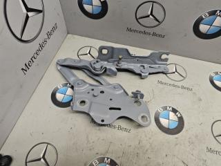 петля капота левая BMW X5 G05 [рестайлинг] 2023, 3.0 л., бензин, 7418201