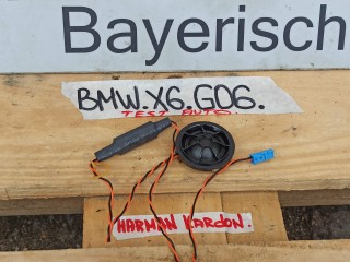 динамик двери BMW X6 G06 [рестайлинг] 2023, 3.0 л., бензин, a96, полный привод, 6813597