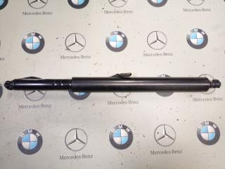 амортизатор крышки багажника (3-5 двери) BMW iX I20 2024, 7954153