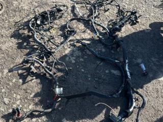 проводка двигателя Audi RS 6 C7 2014, 4.0 л., бензин, 4G2971228, 4G2971713L