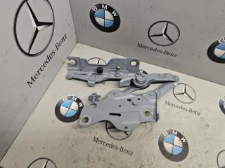 петля капота правая BMW X5 G05 [рестайлинг] 2023, 3.0 л., бензин, 7418202