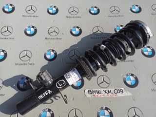амортизатор передний левый BMW XM G09 2023, 4.4 л., бензин, электро, c5y, 5A3AE91