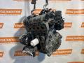 двигатель Volkswagen Polo 4 поколение [рестайлинг] 2008, 1.4 л., BUD, бензин, 030103011DF - фото №2