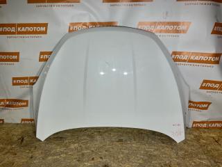 капот Chery Tiggo 4 Pro 1 поколение [рестайлинг] (2023 - 2026), LVTDB21B0ND000487, 509000879AADYJ