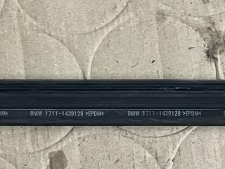 уплотнитель BMW X5 E53 [рестайлинг] E53 2005, 3.0 л., M57 D30 (306D2), дизель, АКПП, black-sapphire metallic (475), внедорожник 5 дв., правый руль, 17111439129