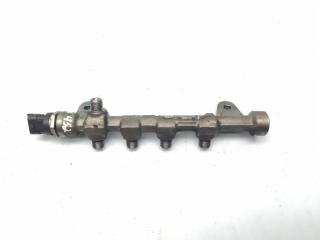 топливная рампа Opel Insignia 1 поколение (A) 2011, 2.0 л., CDTi, A 20 DTH, дизель, 6МКПП, черный, хетчбэк 5 дв., передний привод, правый руль, 55576177