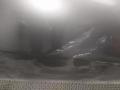 дверь передняя правая BMW 5 серия E60/E61 E60 2006, 2.0 л., D, M47 D20 (204D4), дизель, 6МКПП, silbergrau / a08, седан, задний привод, правый руль, 41517202340, 7202340 - фото №3