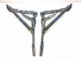 петля крышки багажника BMW 3 серия E90/E91/E92/E93 E90 2006, 2.0 л., i, N46 B20 B, бензин, 6МКПП, mysticblau / a07, седан, задний привод, правый руль, 7060628, 7060627