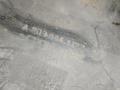 защита арок передняя левая (подкрылок) Mercedes-Benz C-Класс W203/S203/CL203 W203 2001, 2.0 л., Kompr, M 111.955, бензин, АКПП, синий, седан, задний привод, правый руль, A2038841122 - фото №2