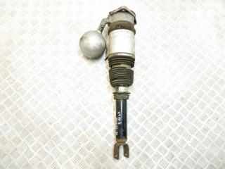 пневмостойка задняя Volkswagen Phaeton 1 поколение 2005, 3.0 л., TDi, BMK, дизель, АКПП, reflex silver / la7w, седан, полный привод, правый руль, 3D0616002K