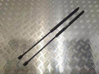 амортизатор капота Mercedes-Benz E-Класс W211/S211 2003, 5.0 л., i, M 113.967, бензин, АКПП, чёрный, 197u, седан, задний привод, правый руль, A2118800029